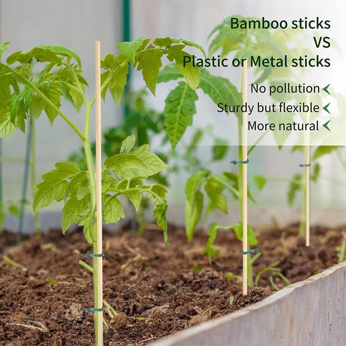 50Pcs Garden Bamboo Sticks Garden Trellis Flowers Stands Wooden Color