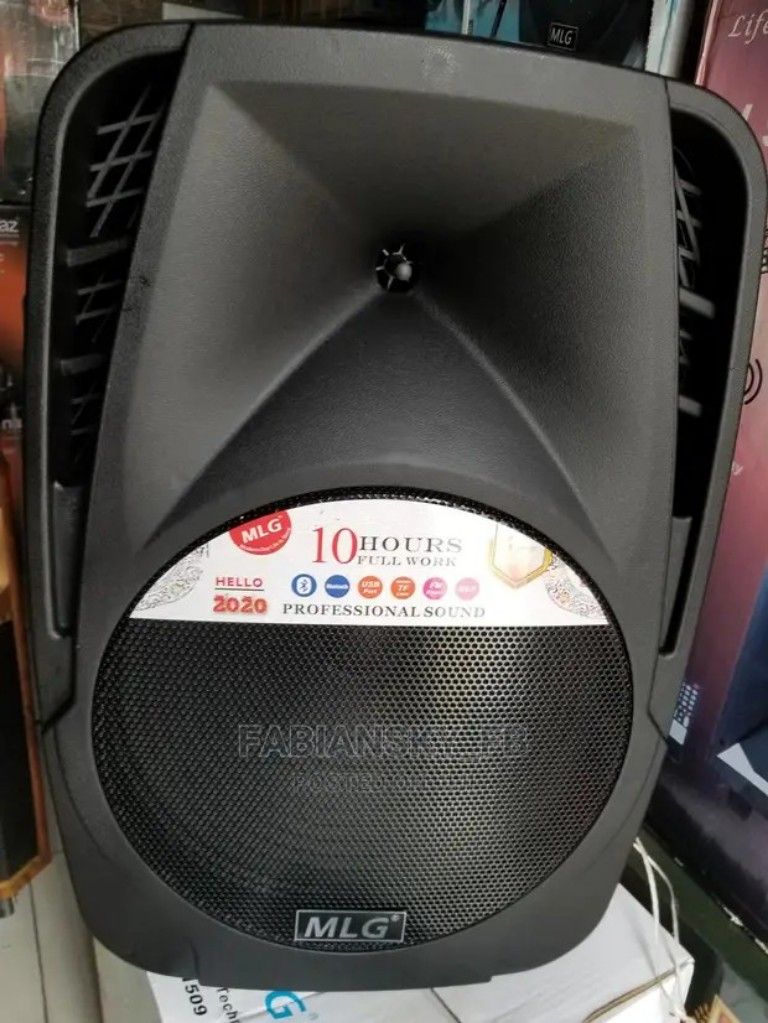 15" Inches Outdoor Rechargeable Wireless PA System