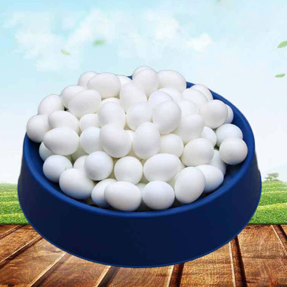 50 Pieces Solid Plastic Pigeon Eggs Dummy Simulation  False White