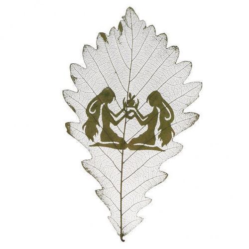 4X Leaf Specimens Of Smaller Plants With Gemini Patterns For