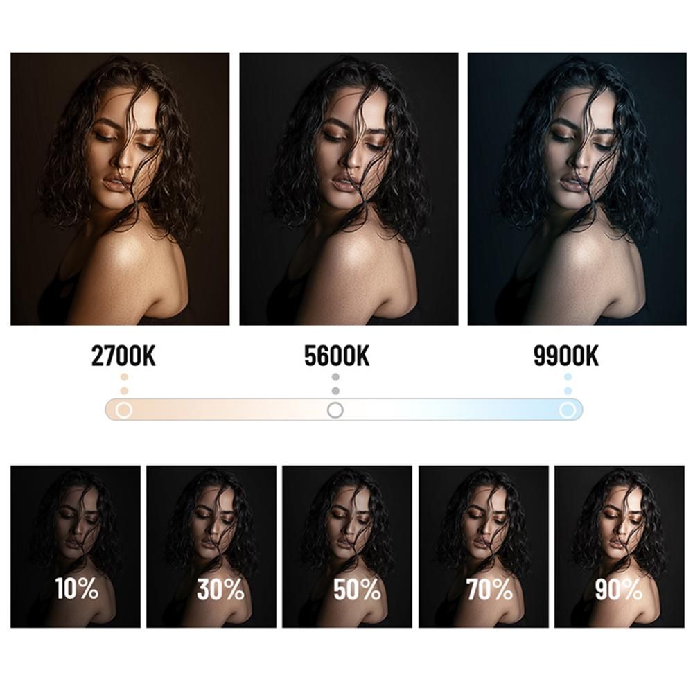 YONGNUO YN216II Bi-Color LED Video Light 24W High Power Photography Light 2700K-9900K Dimmable 332pcs Beads Support Remote Control for Live Streaming Home Studio Comercial Photography