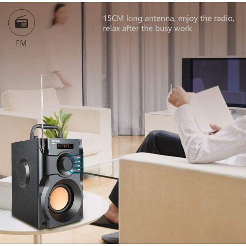 Subwoofer Indoor/outdoor Bluetooth FM Recharge Speaker