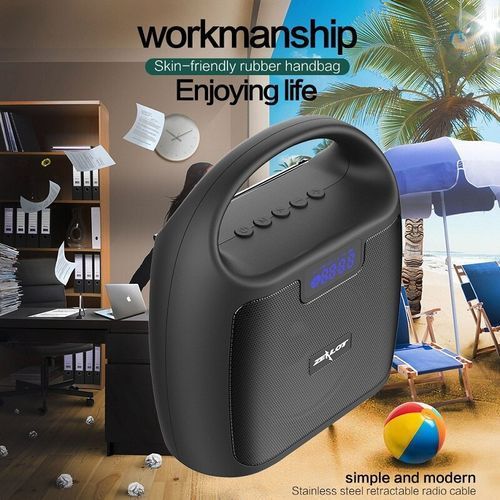Zealot Wireless FM Radio Portable Speaker