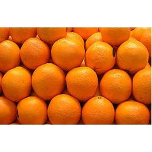 Sweet Orange Essential Oil, Wildcrafted 8oz 237ml