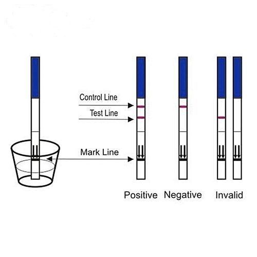 P-TEST PREGNANCY TEST STRIPS (50 Strips, For 50 Tests)