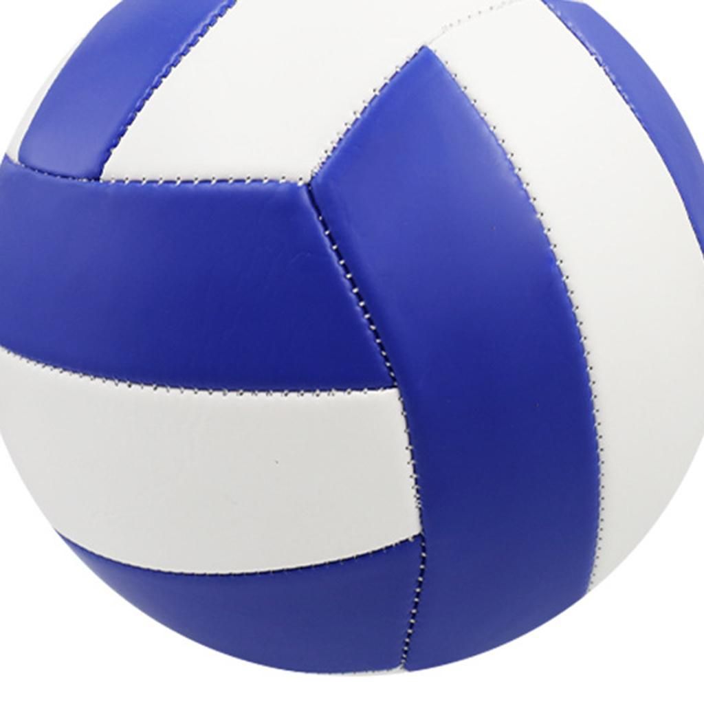 Professional Standard Official Size 5 Volleyball Type 10