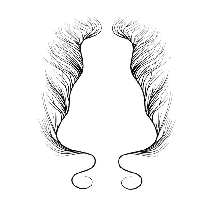 Curly DIY Tattooing Template Tool Lasting D
