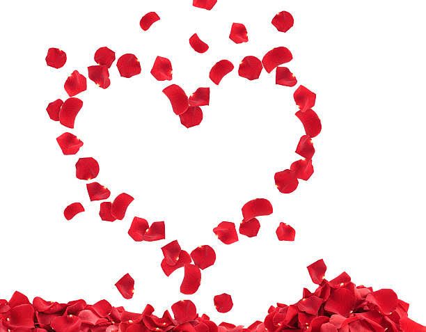 Red Petals 300pieces - Romantic