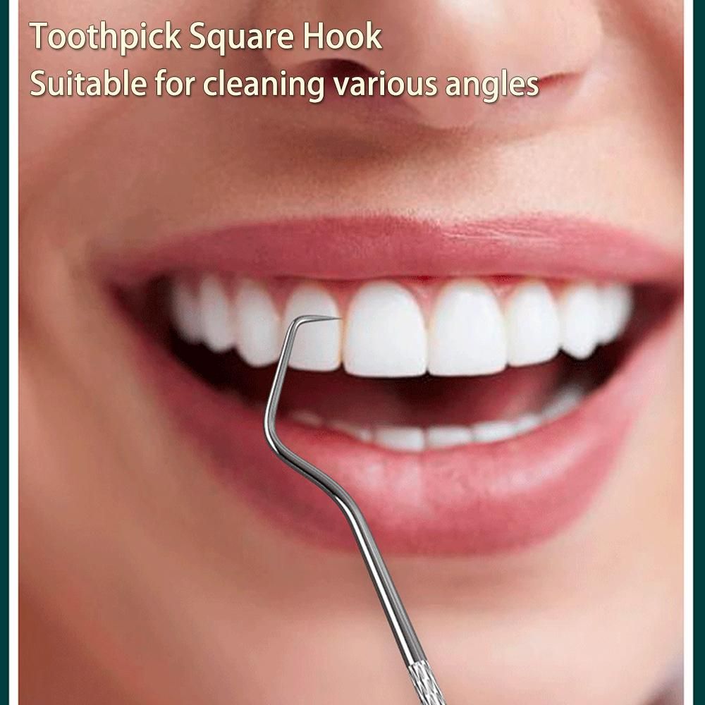 3PCS Toothpick Pocket Set, Reusable Stainless Steel Tooth Cleaning Tools with Holder Case Waterproof Portable Tooth Picker for Outdoor Travel Picnic and Camping