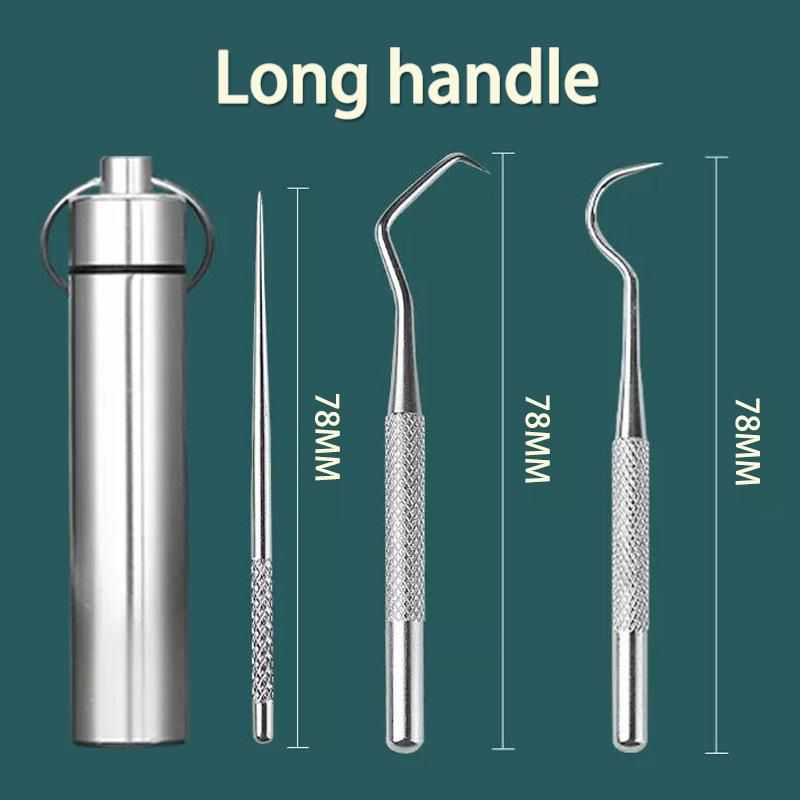 3PCS Toothpick Pocket Set, Reusable Stainless Steel Tooth Cleaning Tools with Holder Case Waterproof Portable Tooth Picker for Outdoor Travel Picnic and Camping