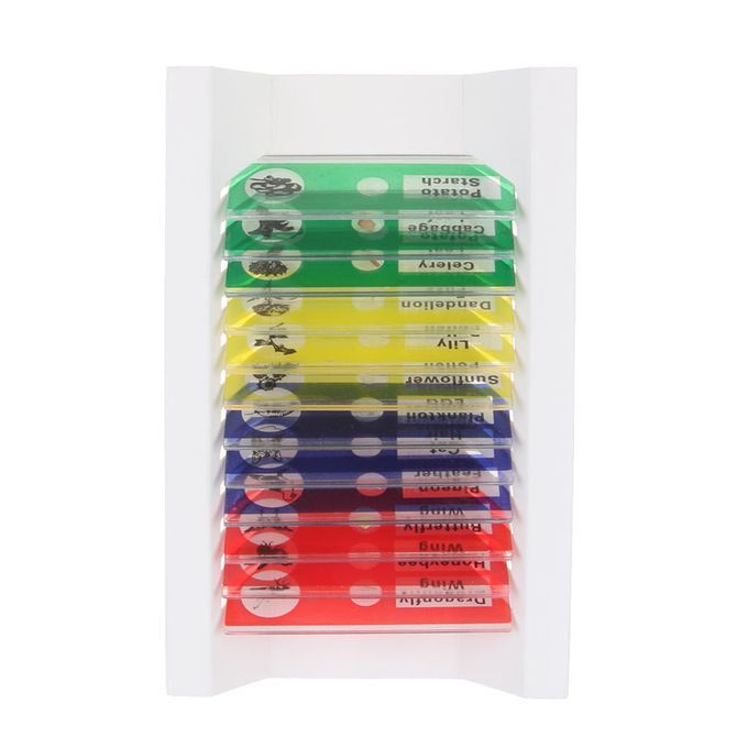 12x Prepared Microscope Slides Biological Specimen Sections