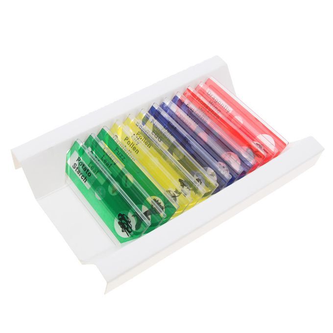 12x Prepared Microscope Slides Biological Specimen Sections