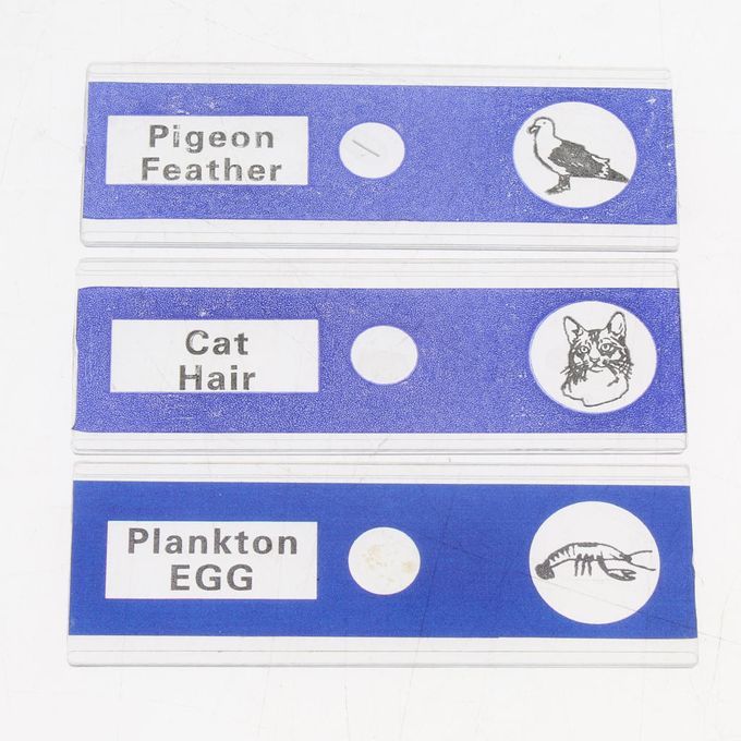 12x Prepared Microscope Slides Biological Specimen Sections