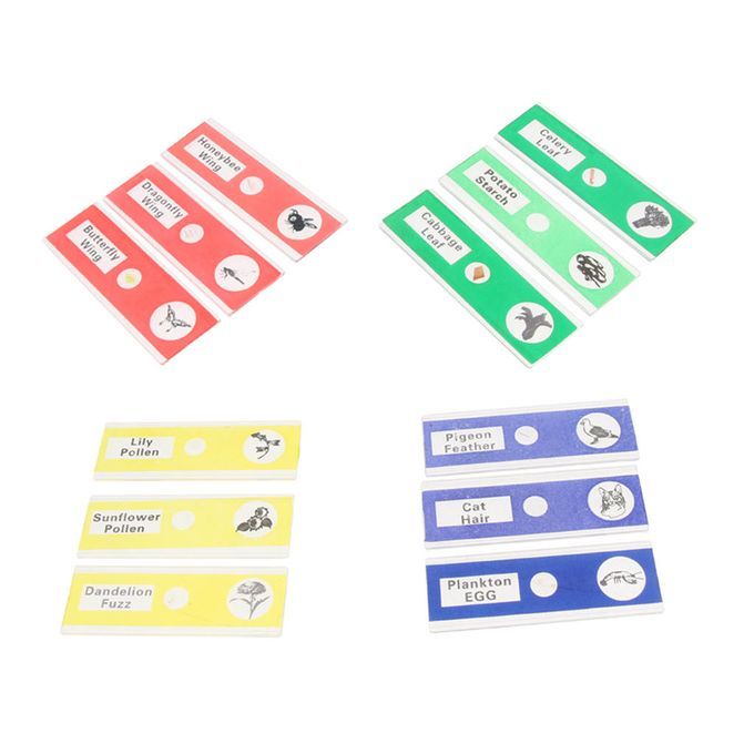 12x Prepared Microscope Slides Biological Specimen Sections