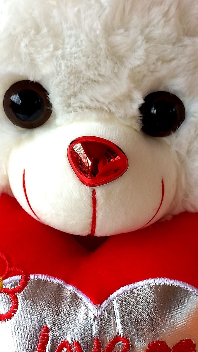 White Fluffy Teddy Bear