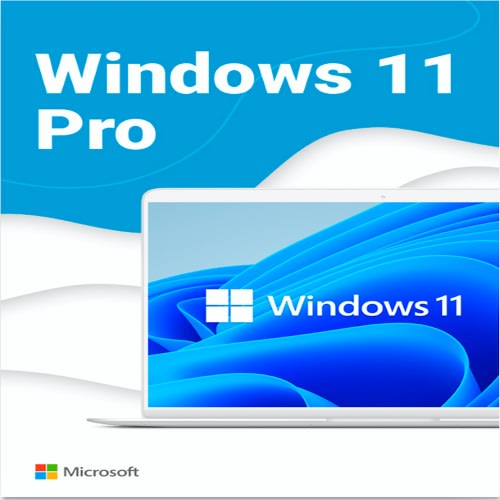 Microsoft Windows 11 Professional License