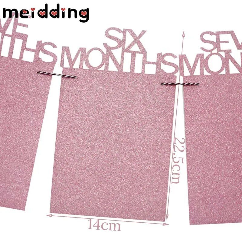 Meidding Baby Birthday Banners 12 Months Photo Bun