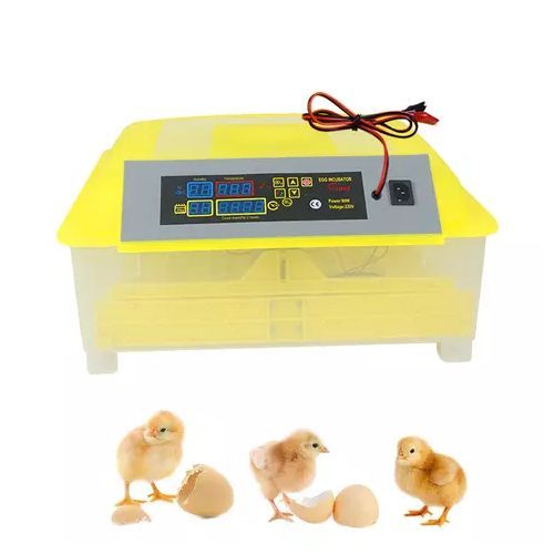 56 Eggs Automatic Incubator  Dual Power- 220V/12V