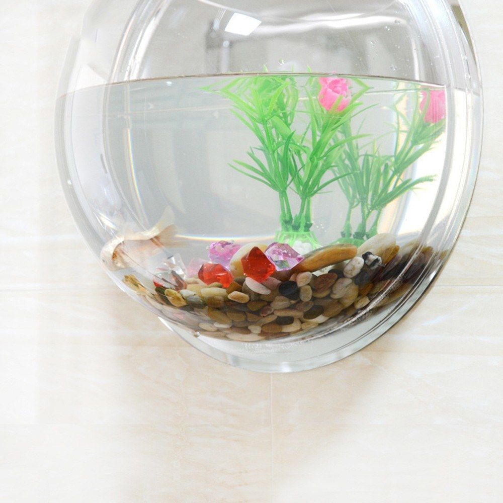 Home Decoration Wall Mount Fish Tanks Goldfish Bowl Acrylic