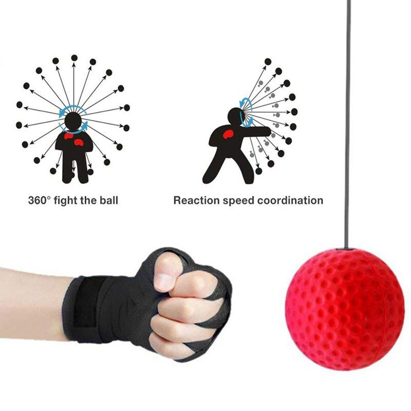 Fist Speedball Head-mounted Training Equipment