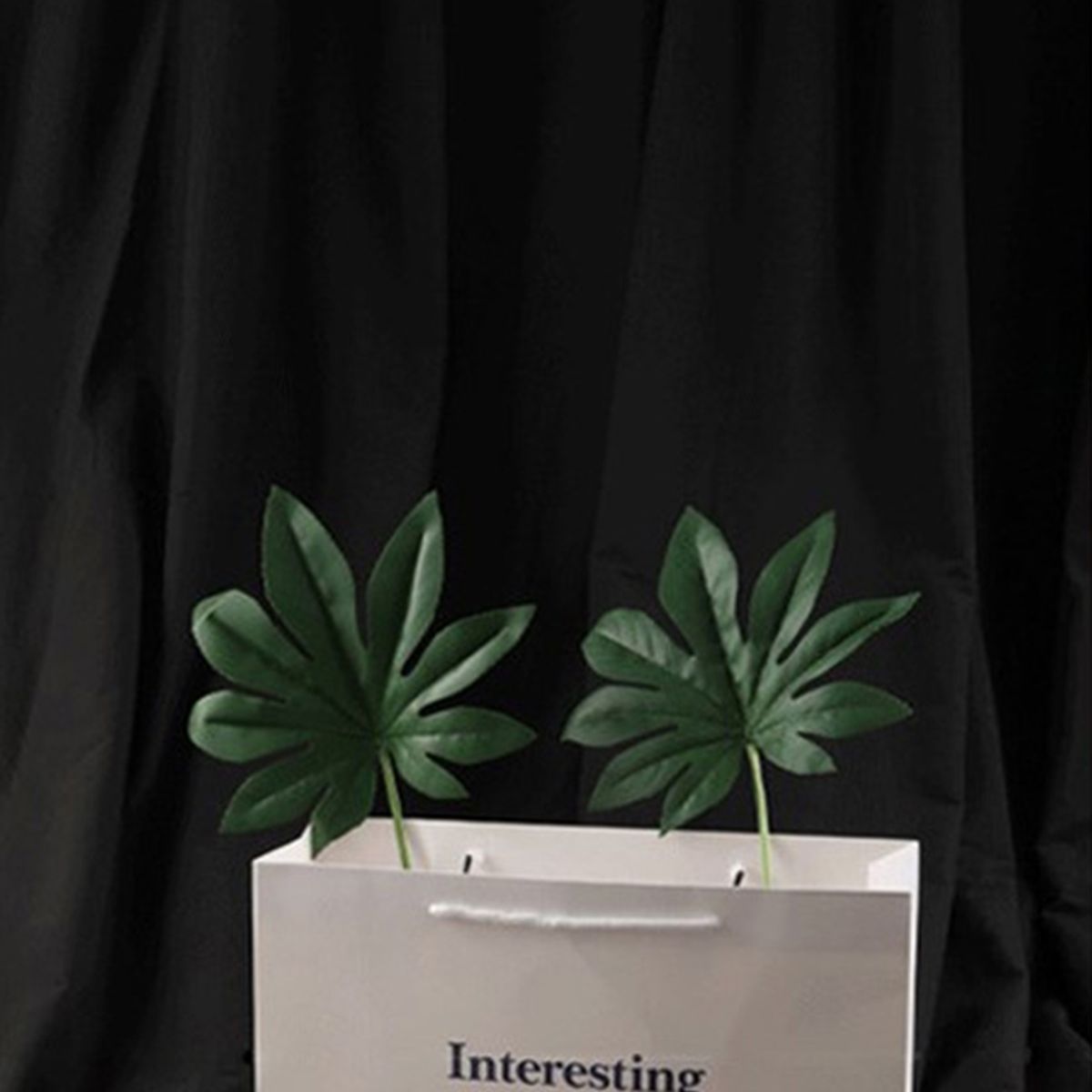 Photography Backdrop Non-glare Collapsible-Black