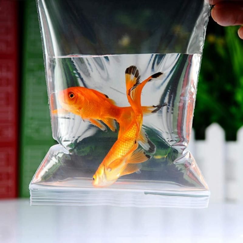 100 Plastic Transparent Packaging Plastic Bag Sealed Bag for