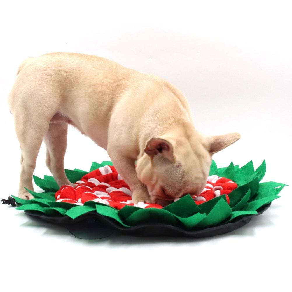 Pet Dog Snuffle Mat Nose Smell Training Sniffing Pad Dog