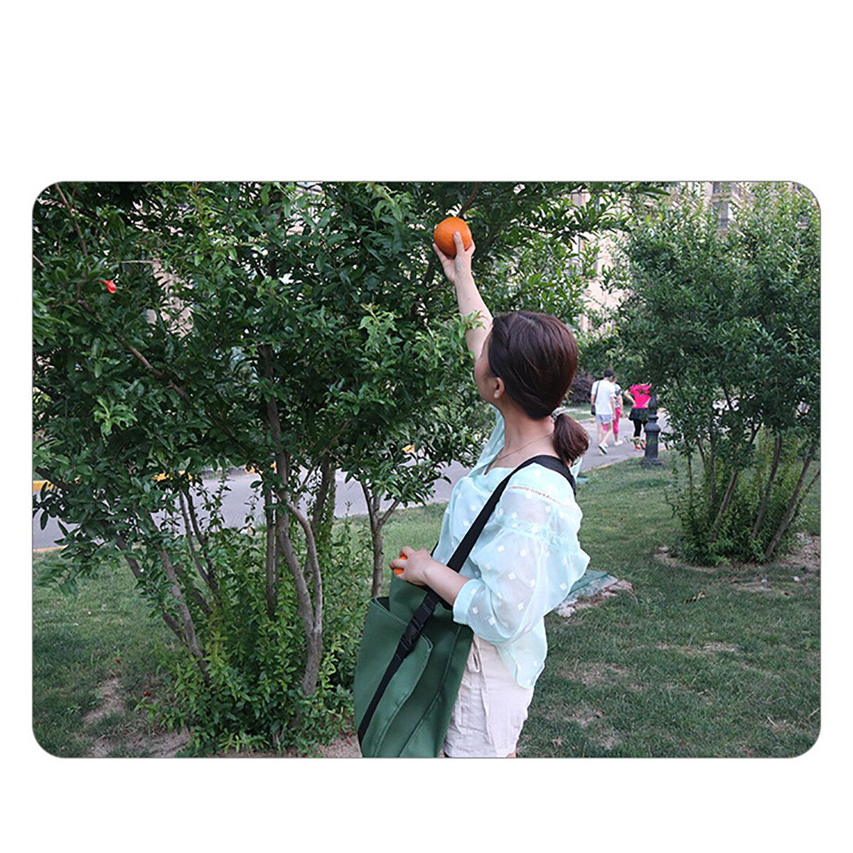 Fruit Picking Apron, Canvas Garden Fruit Picking Bag, Harvest Garden Apron With A Cross Strap To Release Your Hands, Vegetable Garden Picking Apron Can Load-Bearing 10KG Fruit