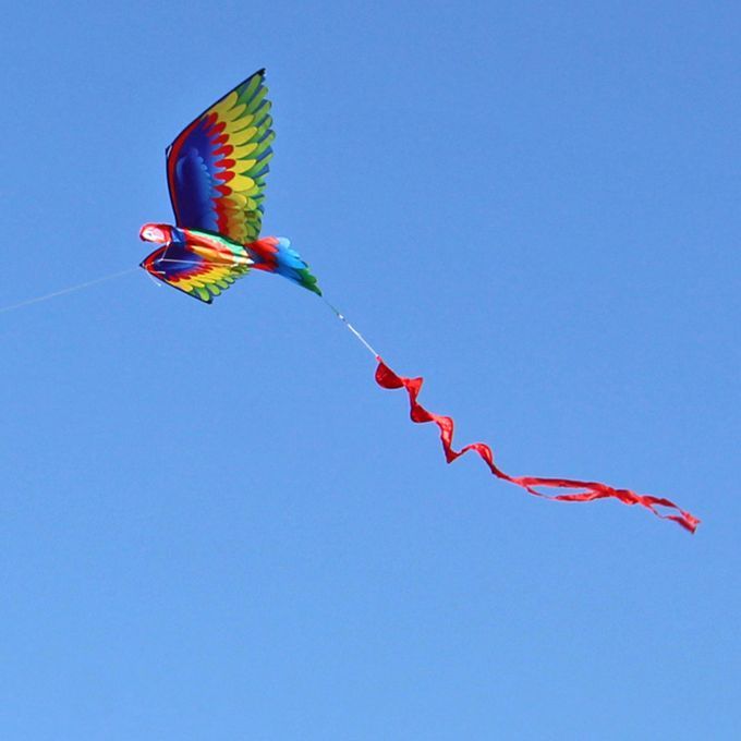 Kids Parrot Kite Beach Game Family Outdoor Games, Beach Kite For