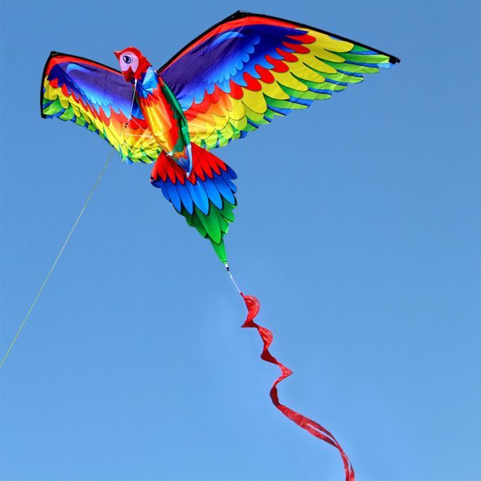 Kids Parrot Kite Beach Game Family Outdoor Games, Beach Kite For