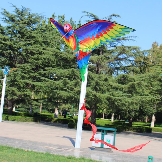 Kids Parrot Kite Beach Game Family Outdoor Games, Beach Kite For