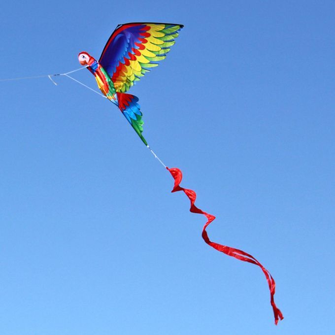 Kids Parrot Kite Beach Game Family Outdoor Games, Beach Kite For