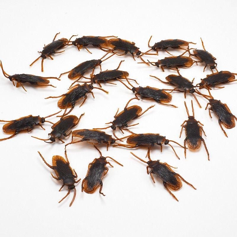 12 Pcs Halloween Simulated Plastic Cockroaches Deceptive