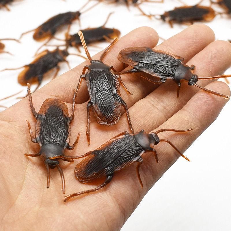 12 Pcs Halloween Simulated Plastic Cockroaches Deceptive