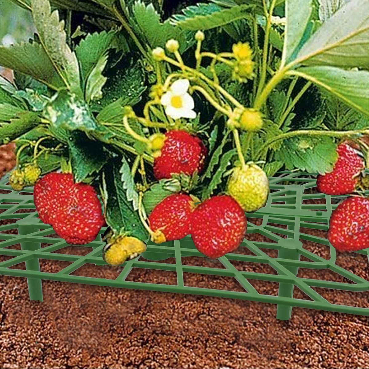 3PCS Strawberry Stand Frame Holder Balcony Planting Rack