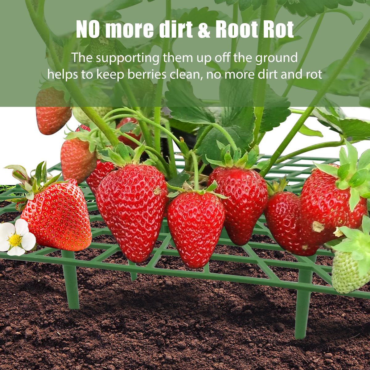 3PCS Strawberry Stand Frame Holder Balcony Planting Rack