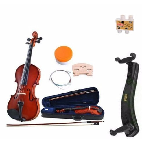 Professional Violin With Accessories