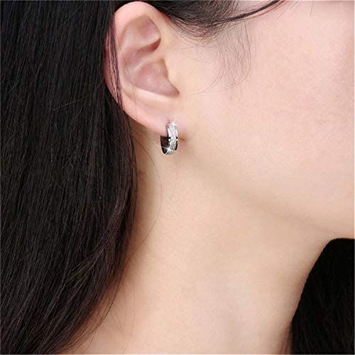 A Pair Of Unisex Kids Fashion Luxurious Stainless Steel Silver Earrings
