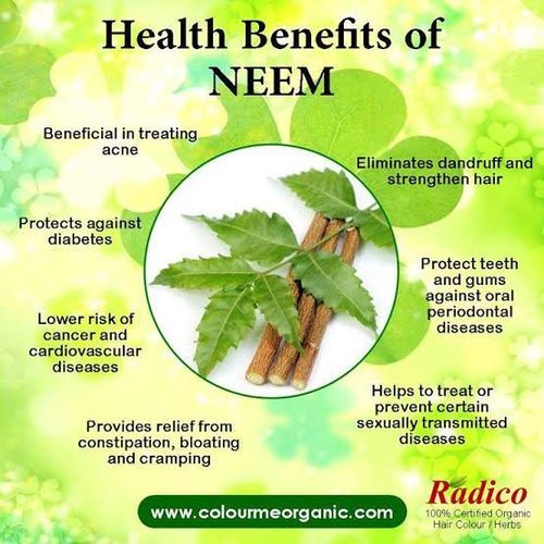 Organic Edible Neem Leaves Powder - 100g
