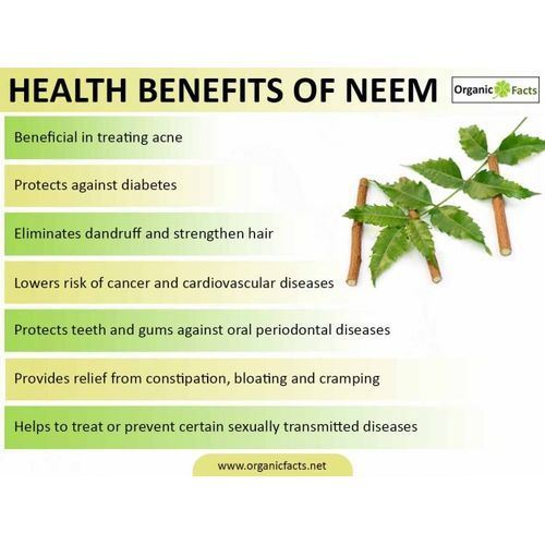 Organic Edible Neem Leaves Powder - 100g