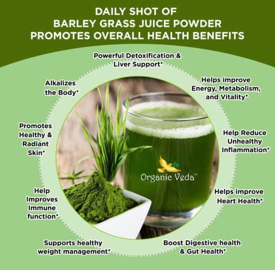 Organic Barleygrass Juice Powder