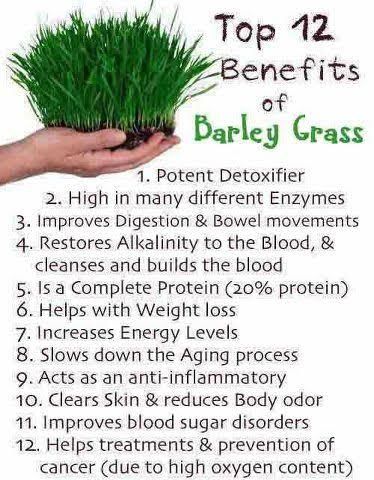 Organic Barleygrass Juice Powder