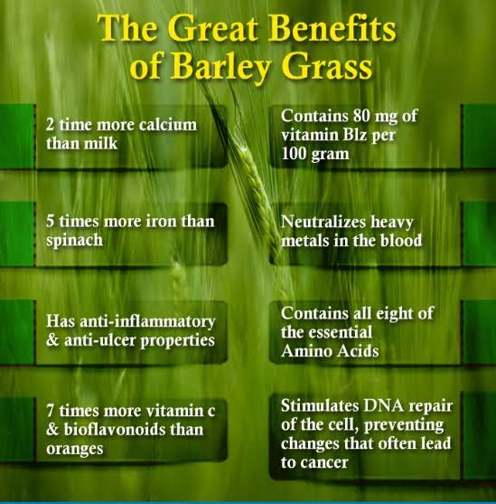 Organic Barleygrass Juice Powder