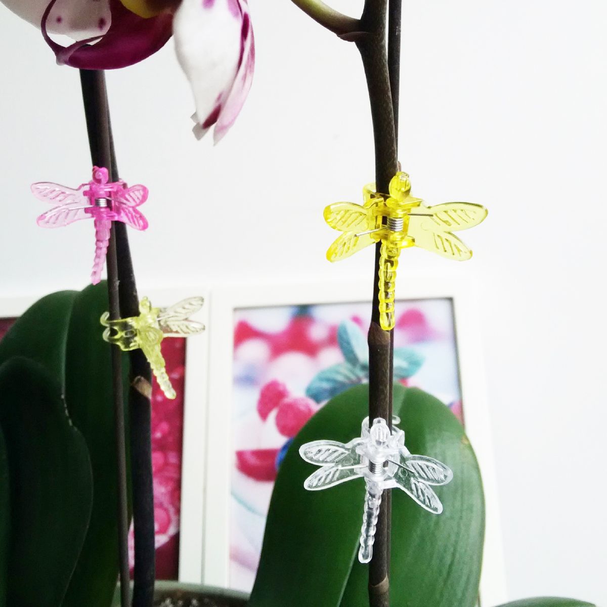 30Pcs Orchid Clips Butterfly Colorful Plant A