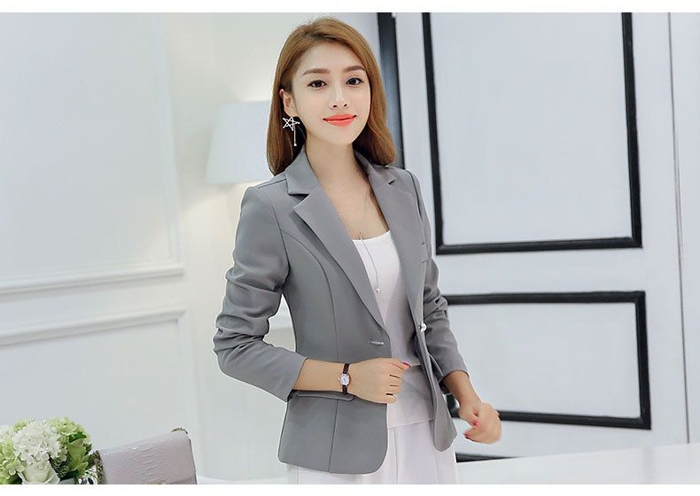 Ladies Office Work Blazer Spring Autumn Blazer  (Grey)