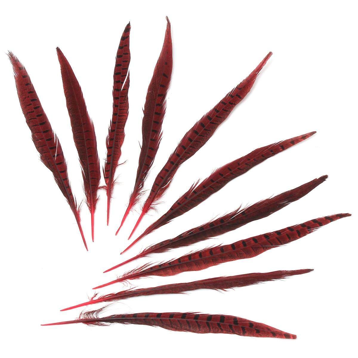 10Pcs Beautiful Pheasant Tail Feathers 12-14 Inch Long Costume Millinery Multicolor Bright Red