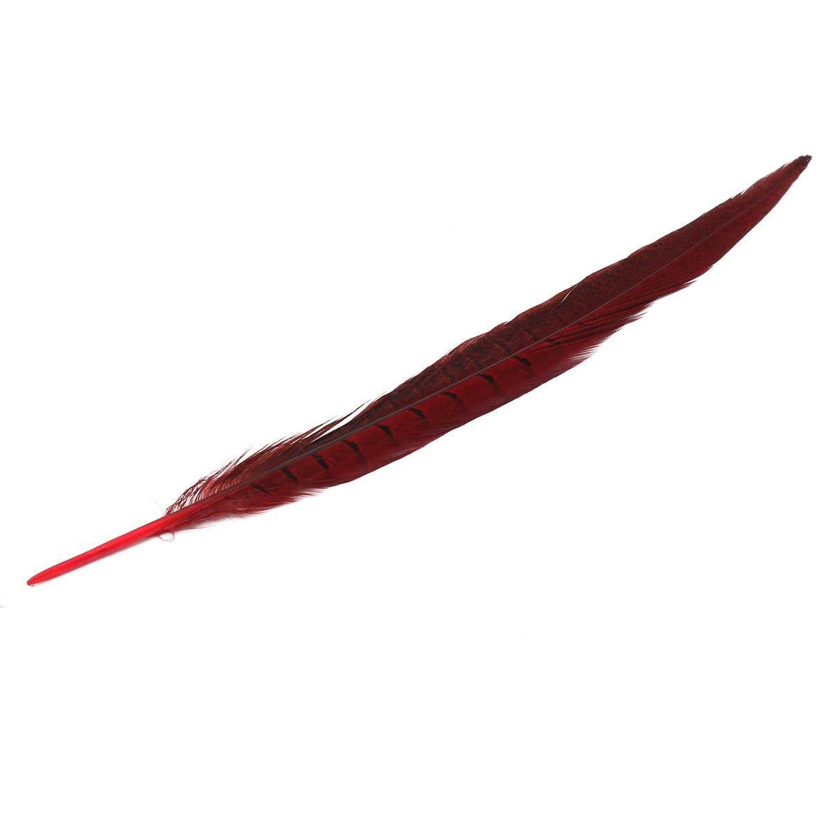 10Pcs Beautiful Pheasant Tail Feathers 12-14 Inch Long Costume Millinery Multicolor Bright Red