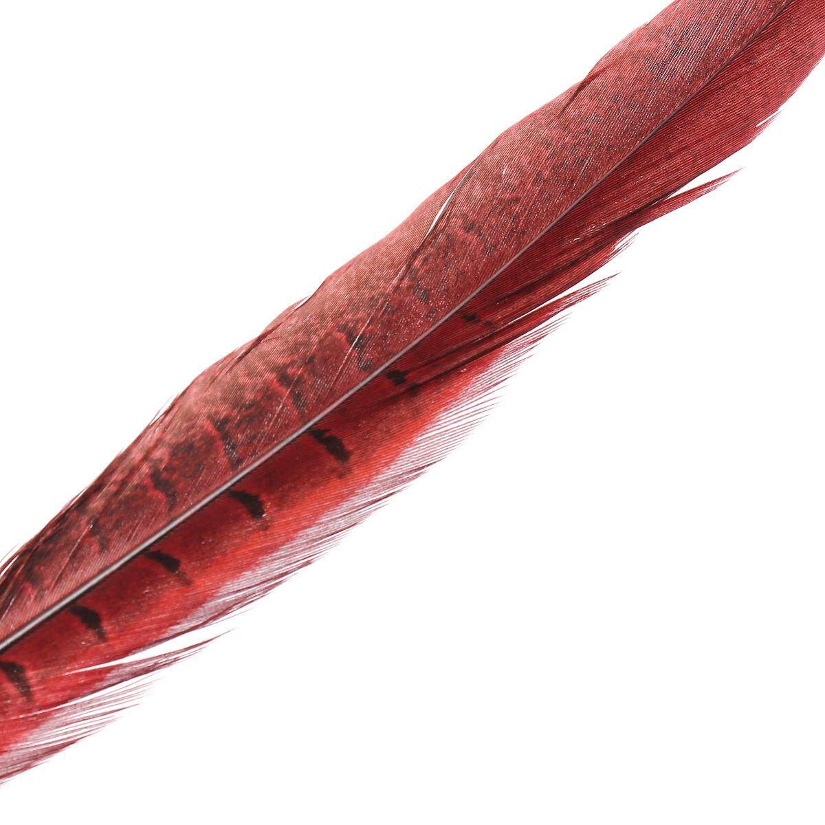10Pcs Beautiful Pheasant Tail Feathers 12-14 Inch Long Costume Millinery Multicolor Bright Red