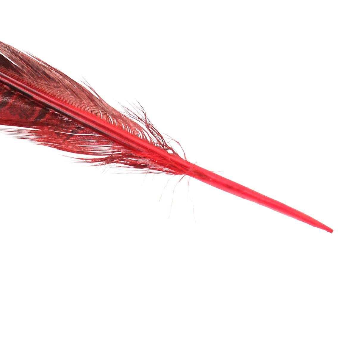 10Pcs Beautiful Pheasant Tail Feathers 12-14 Inch Long Costume Millinery Multicolor Bright Red