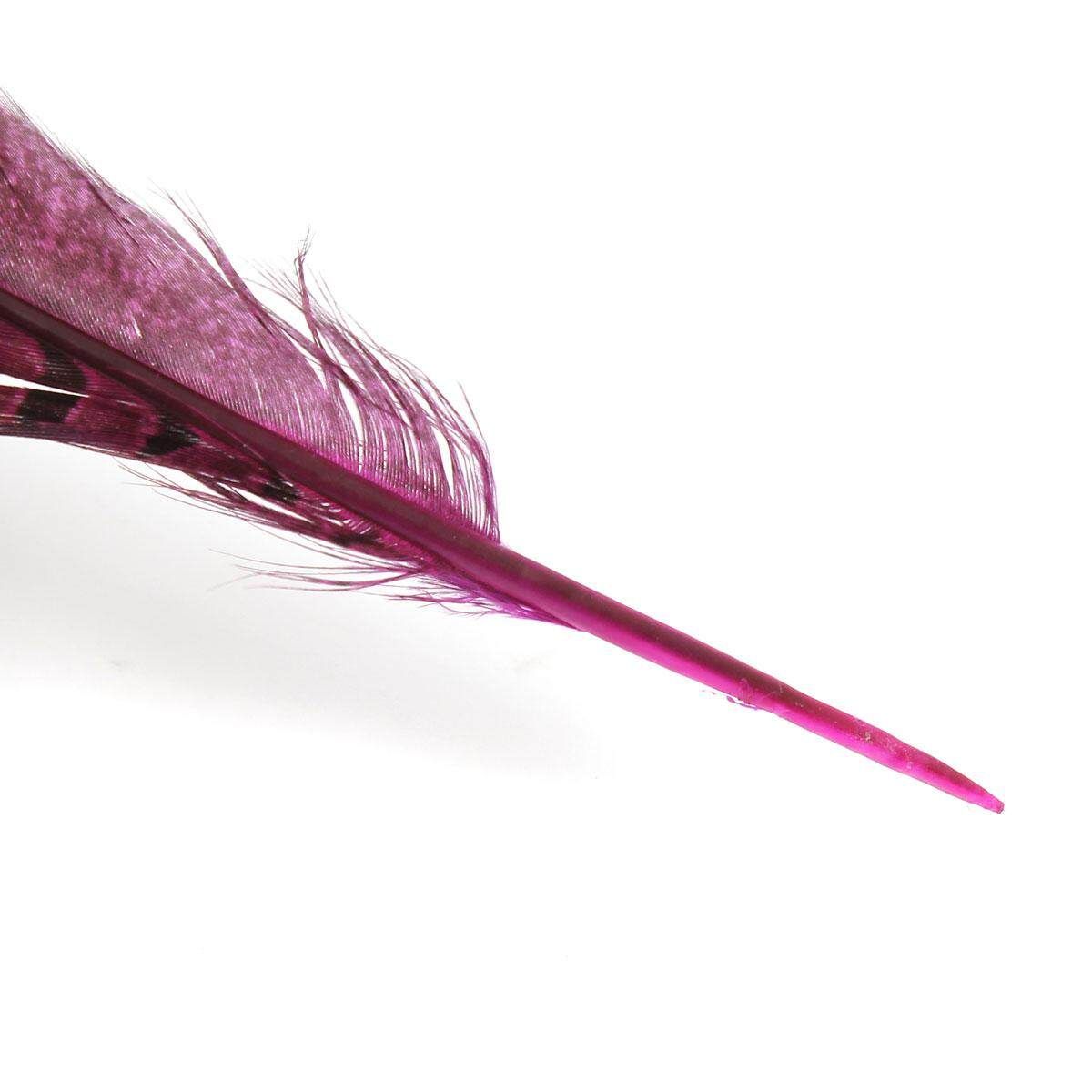 10Pcs Beautiful Pheasant Tail Feathers 12-14 Inch Long Costume Millinery Multicolor Rose Red
